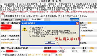新網(wǎng)域名解析內(nèi)網(wǎng)端口設置指南